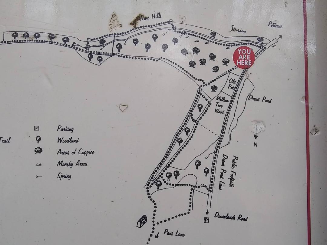 Drews Pond Nature Reserve-迪韦齐斯必去景点