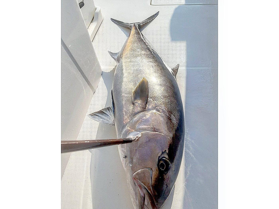 Liquid Fire Sportfishing景点图片
