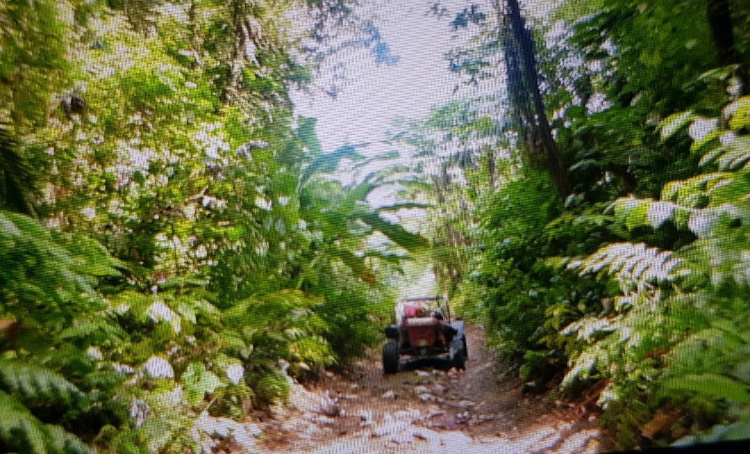 Plantation Leyritz-Basse-Pointe必去景点