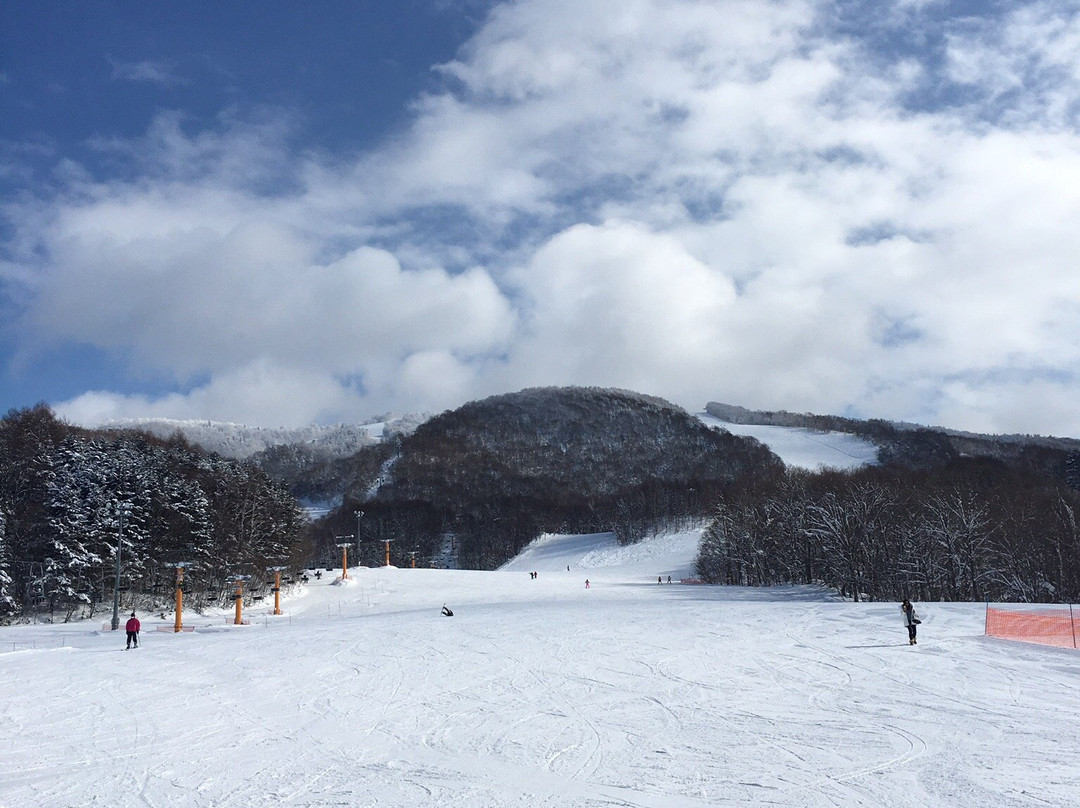 Kamui Ski Links-旭川市必去景点