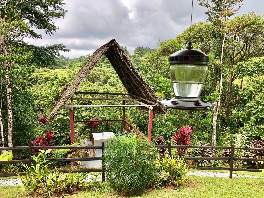 Burbayar Lodge