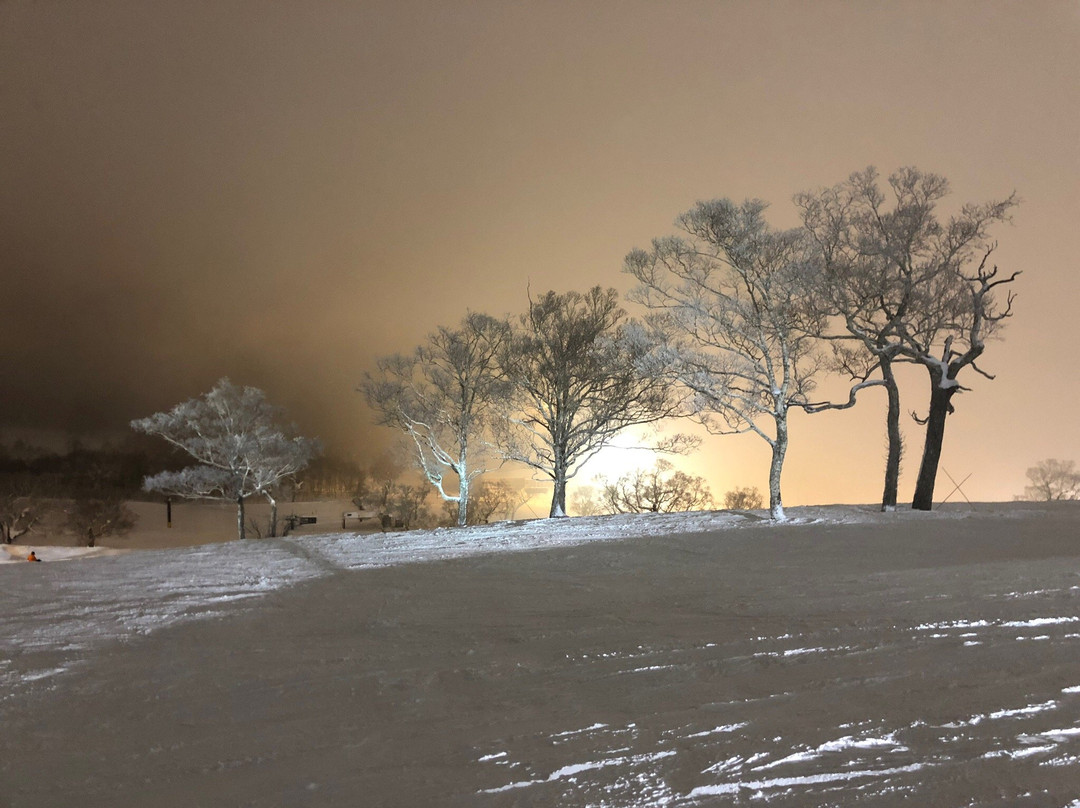 二世古安努普里国际滑雪场景点图片