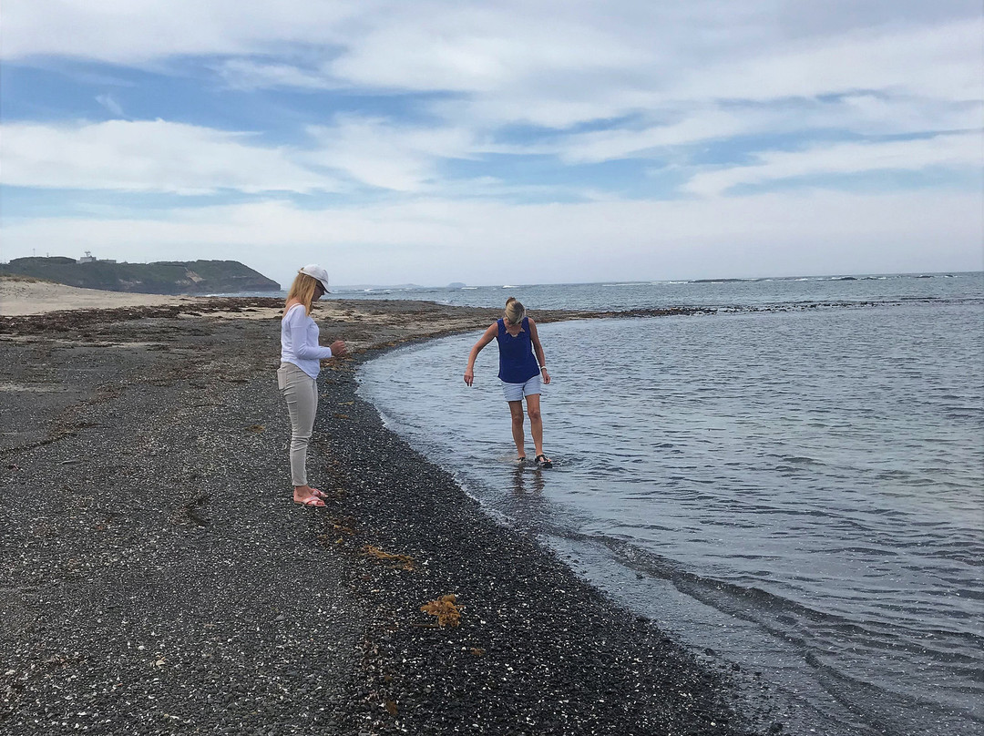 Ocean Beach-弗林德斯必去景点