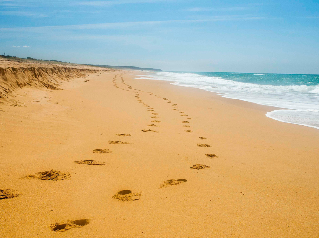 Lakes Entrance Beach景点图片