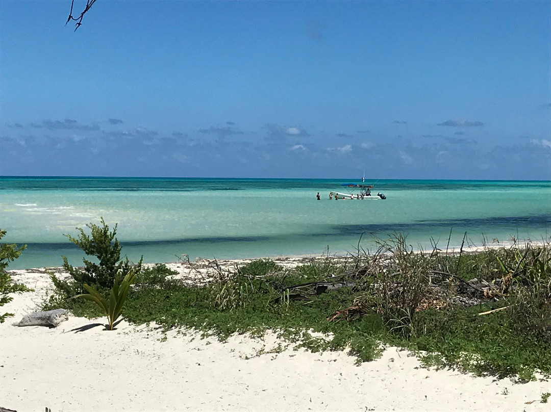 Cozumel Pearl Farm景点图片