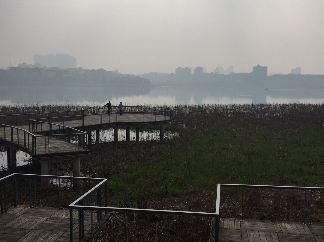 甘棠湖-九江市必去景点