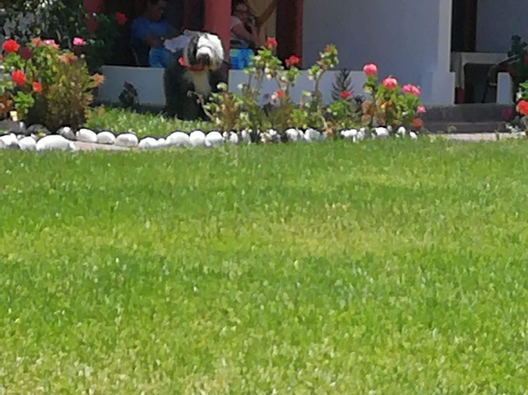 Hotel Sol de Luna主图