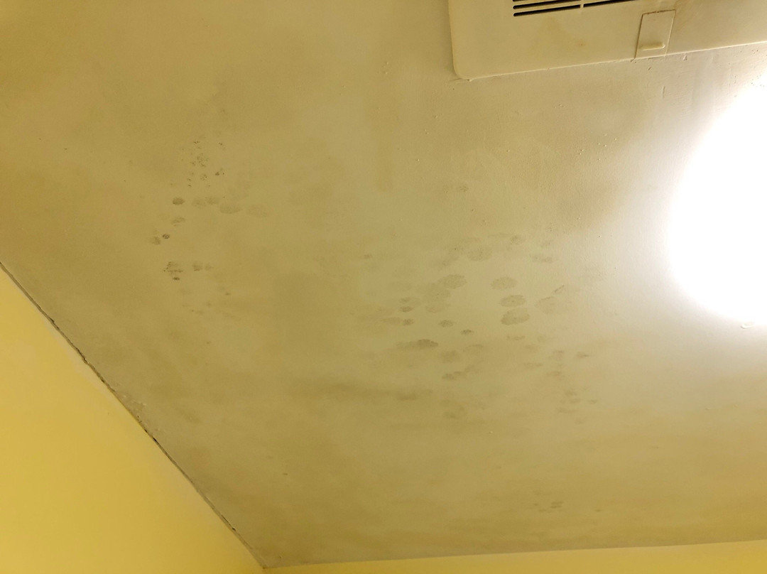 Super 8 by Wyndham Orangeburg North