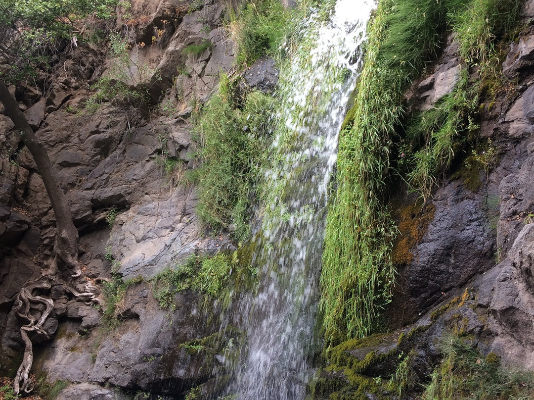 Reserva Nacional Río Los Cipreses-兰卡瓜必去景点