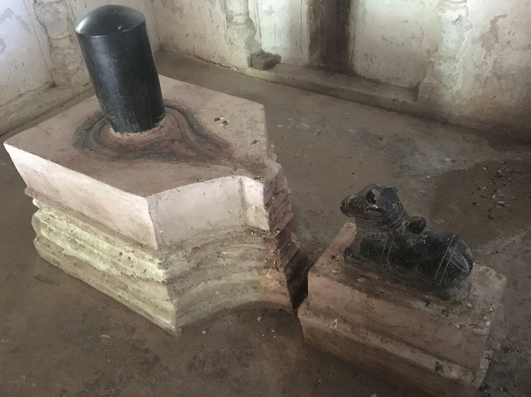 Pratapeswar Temple景点图片