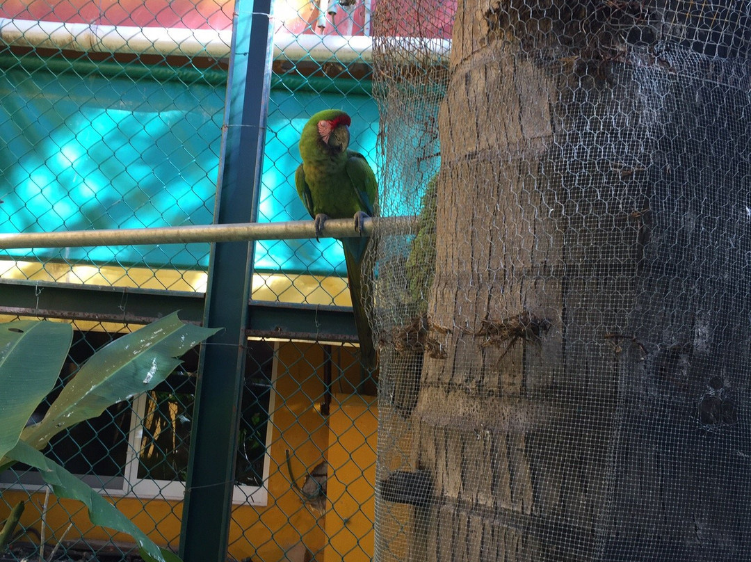 Aticama Bed & Breakfast主图