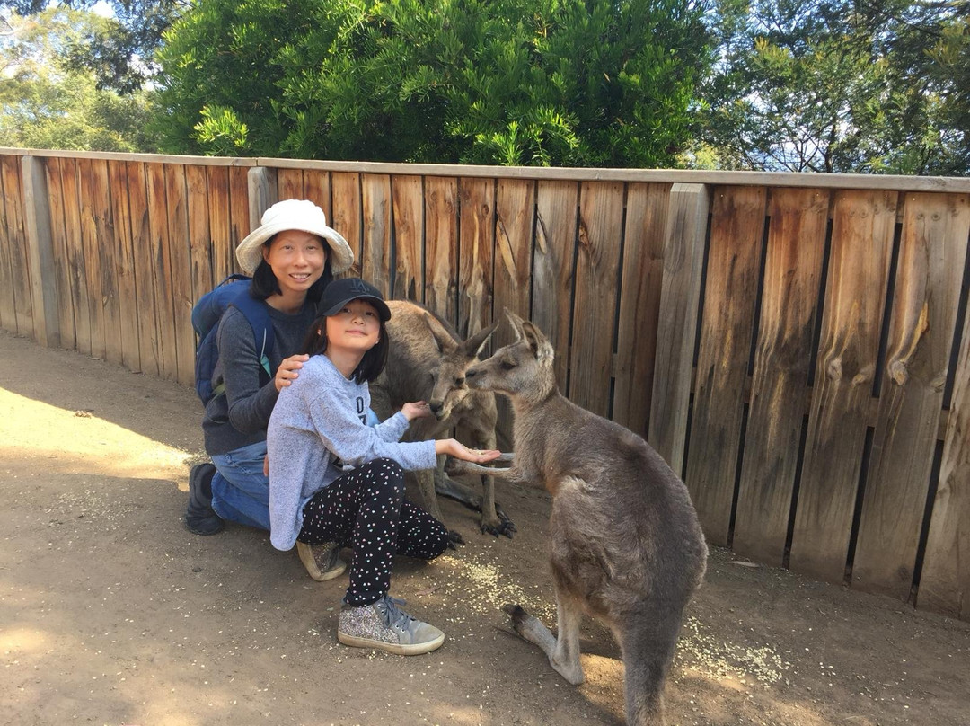 Outdoor Tasmania-朗塞斯顿必去景点