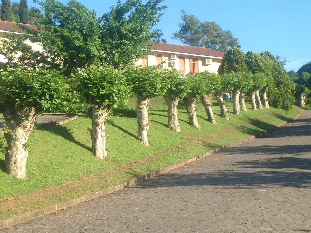 Villa Michelon主图