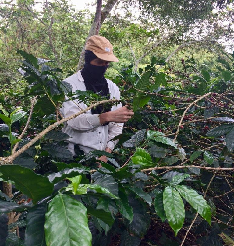 Quiero Viajar Co-Cocora必去景点