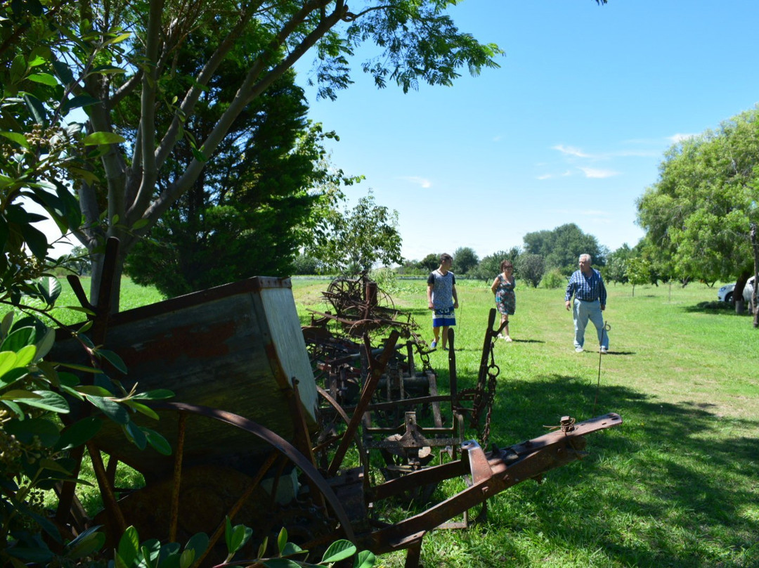 Rosel Finca Familiar-Colonia Caroya必去景点