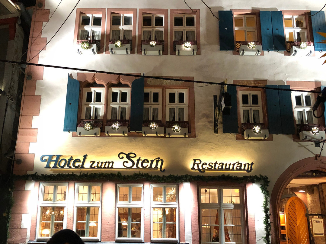 Romantik Hotel Zum Stern主图