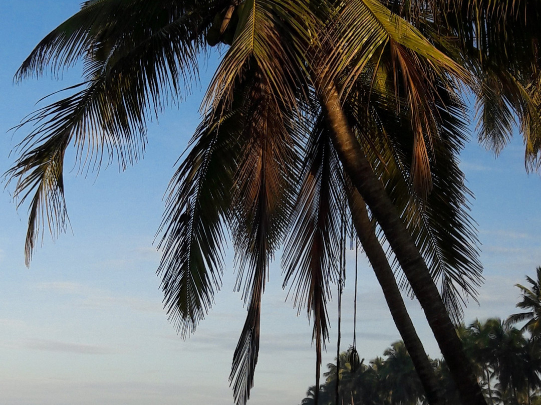 Saara Beach Hotel主图