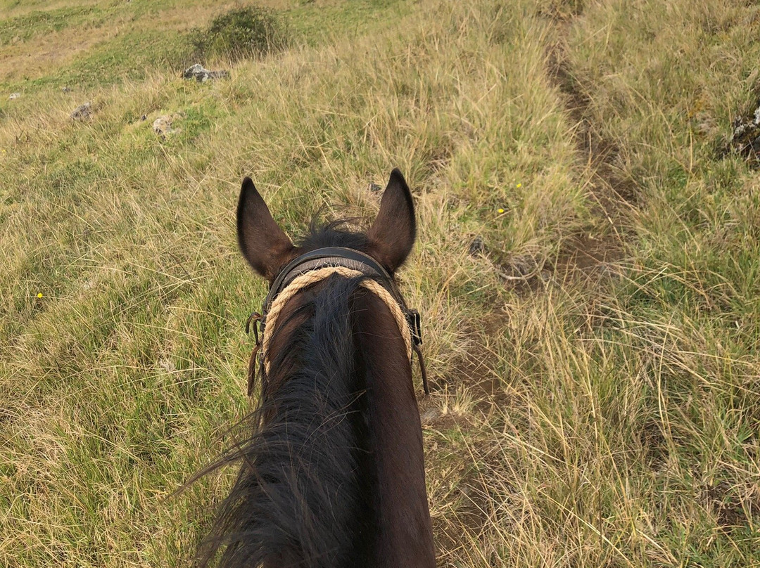 Thompson Ranch Riding Stables-库拉必去景点