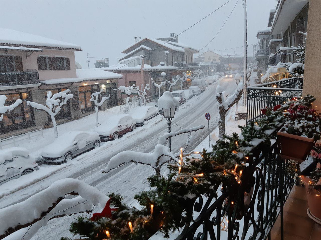 Iris Guesthouse主图