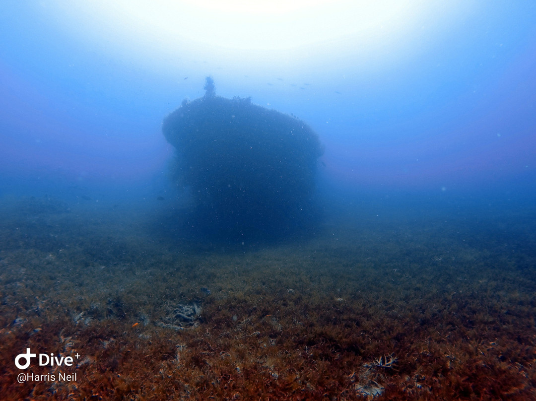 Club de Plongée Batelière-Schoelcher必去景点