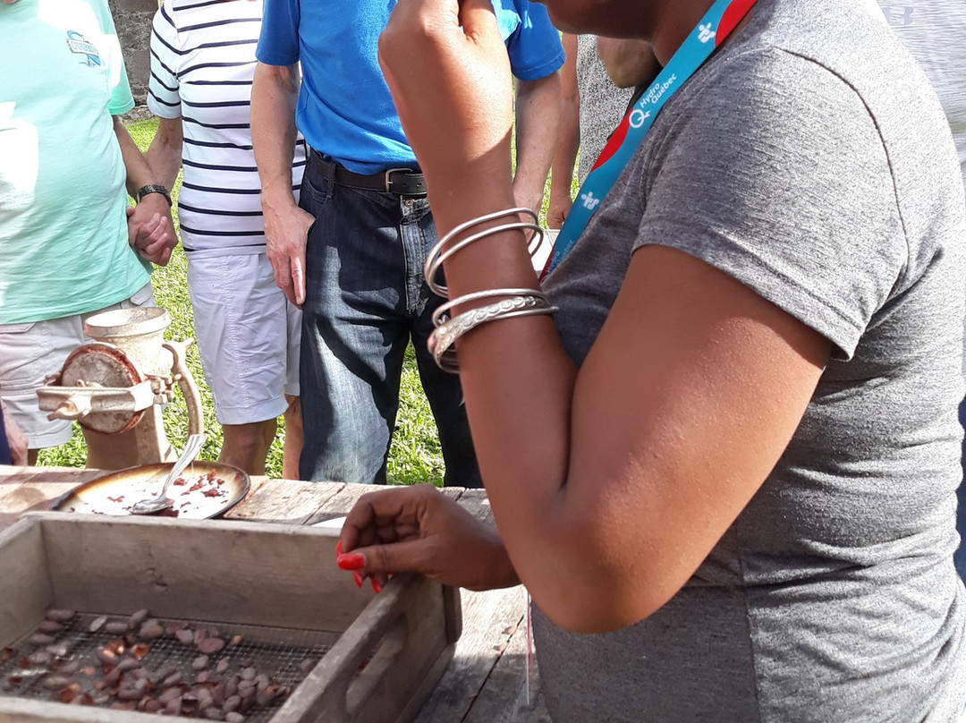 Bois Cotlette Estate-Saint Mark Parish必去景点