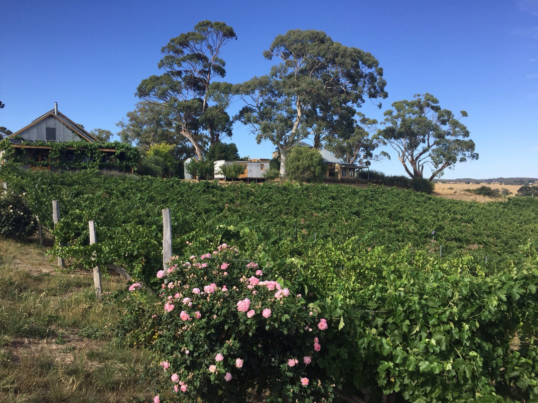 Malmsbury旅游景点-Zig Zag Road Wines