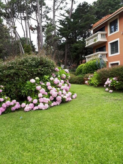 巴拉达斯公园酒店主图