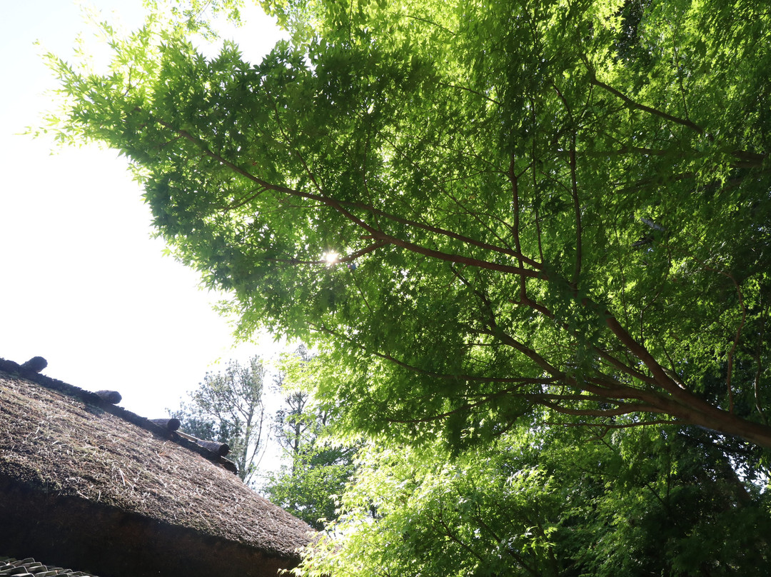 Birthplace of Kunio Yanagita-福崎町必去景点