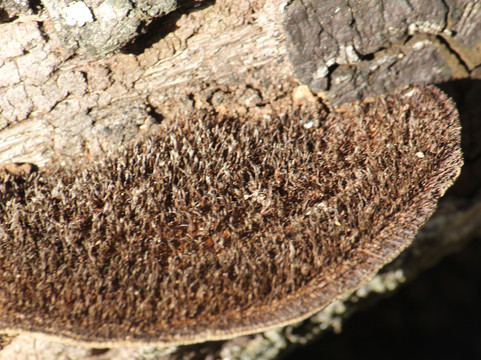 Ten Mile Creek Preserve-匹尔斯堡必去景点