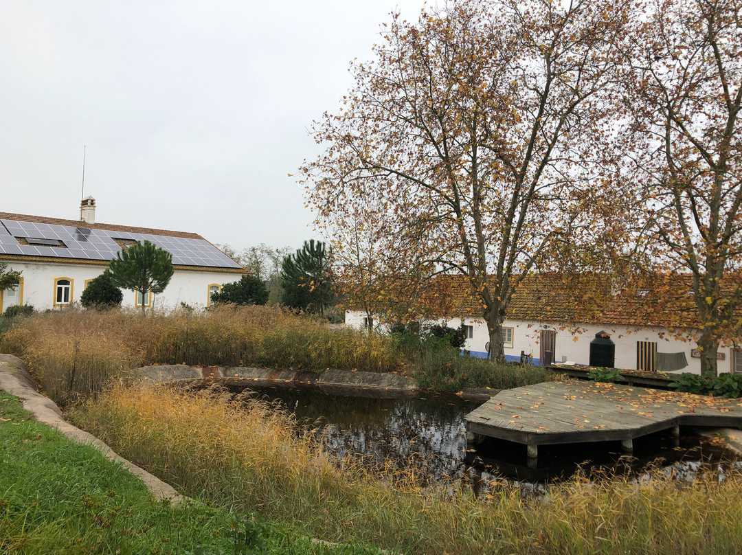 Herdade do Freixo do Meio-Montemor-o-Novo必去景点
