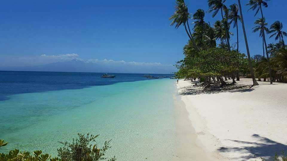 Green Monkey Bike Rental-锡基霍尔必去景点