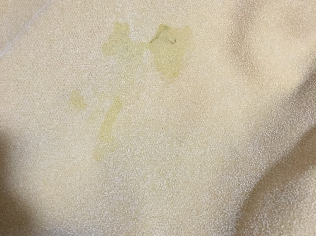 Travelodge by Wyndham Mountview Kamloops主图