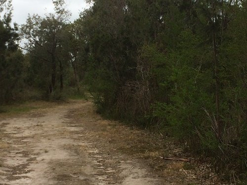 Fairbairn Bushland Reserve景点图片