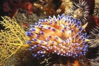 Scuba Shack-西门镇必去景点