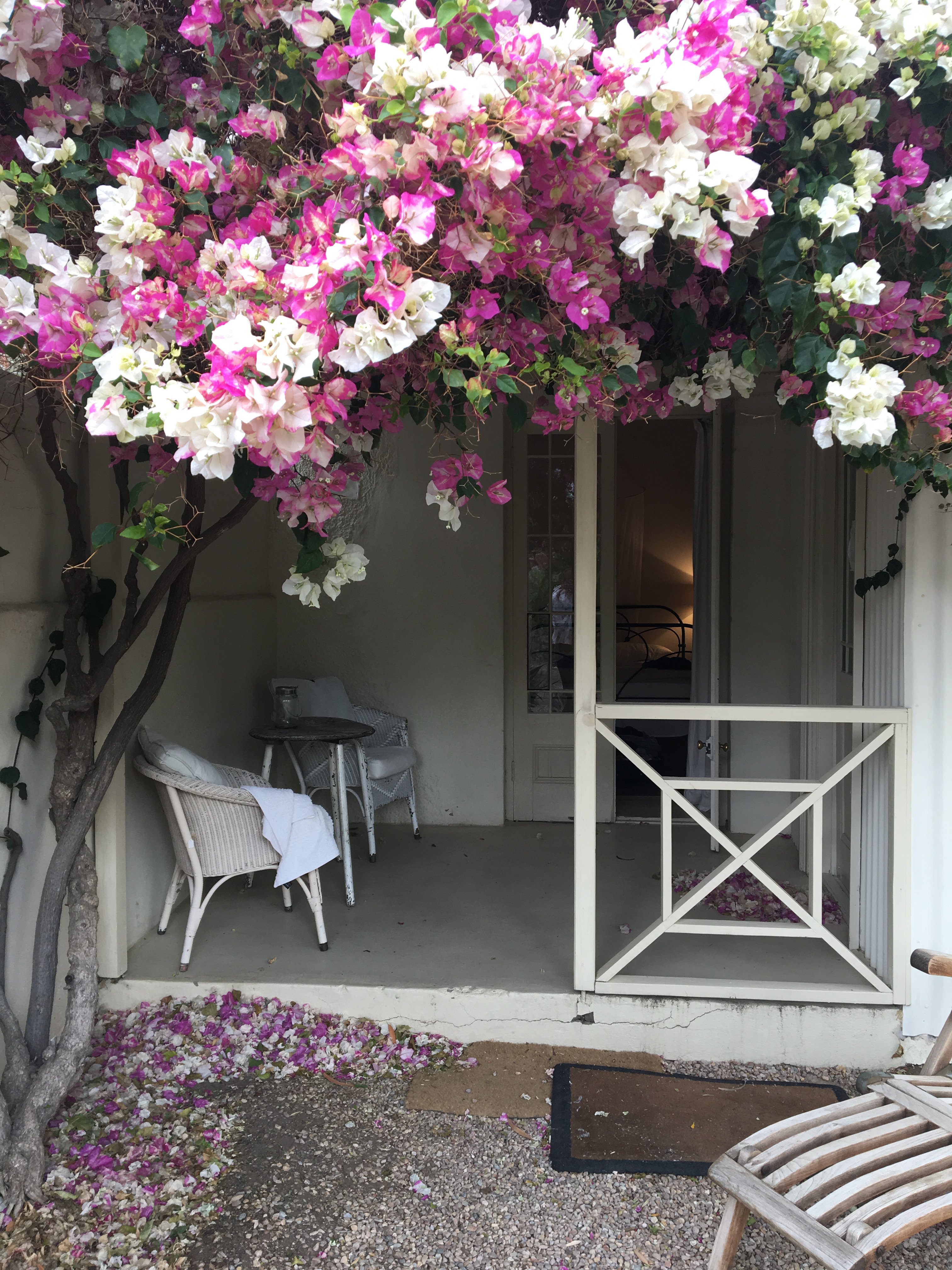 Prince Albert Country Stay-酒店景观