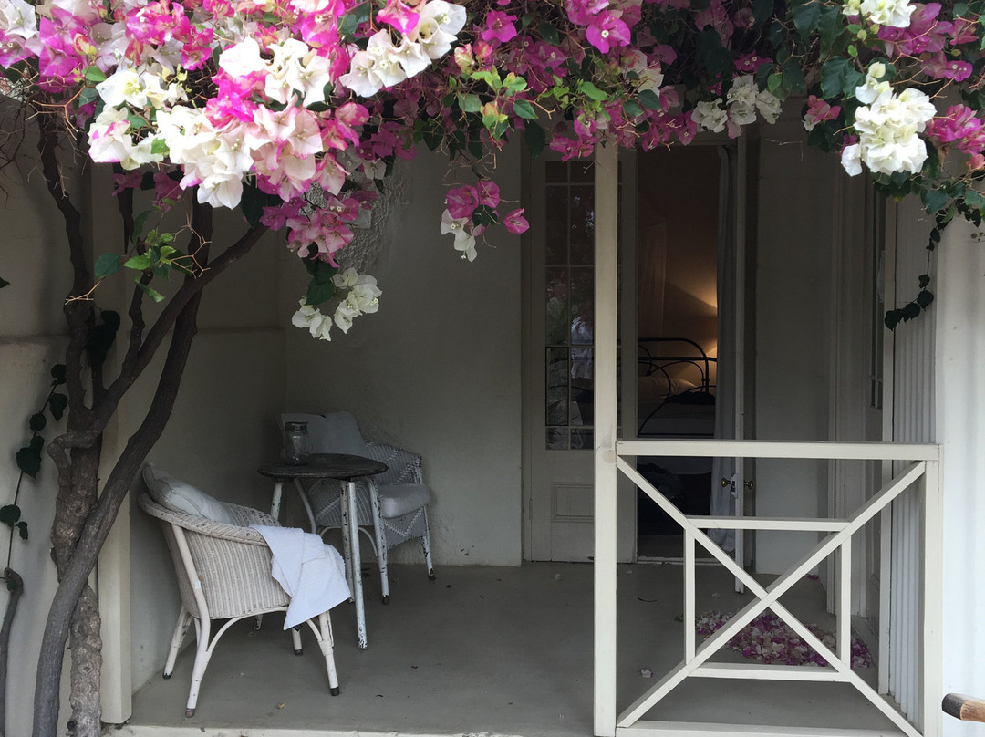 Prince Albert Country Stay主图