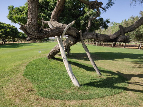 Karachi Golf Club-卡拉奇必去景点