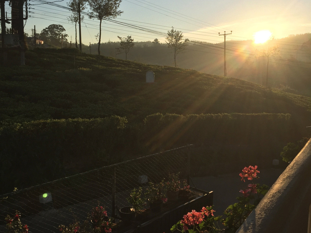 Pedro View Guest House主图