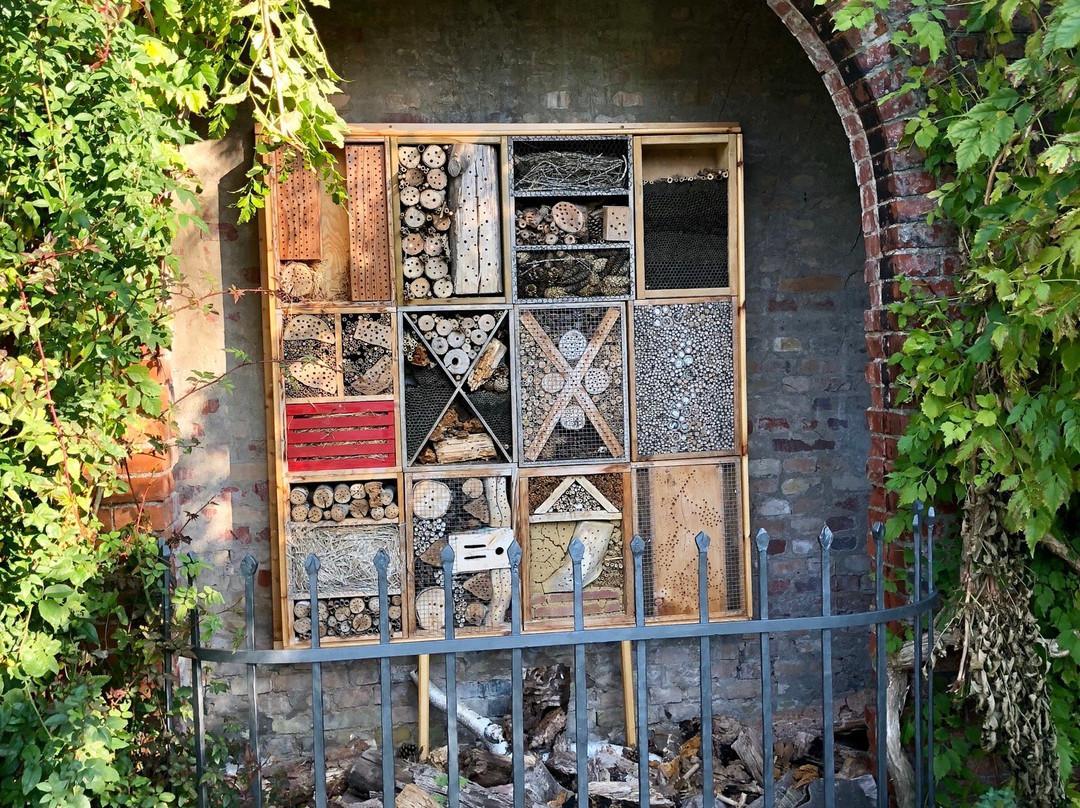 Alter Botanischer Garten-基尔必去景点
