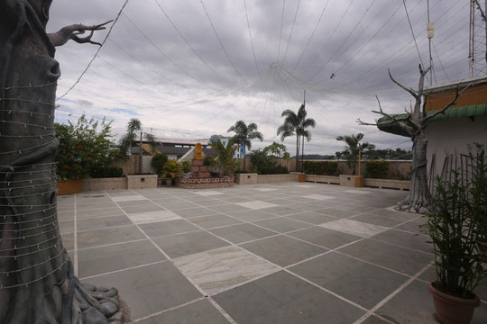 Treebo Trend Parnil Palace主图