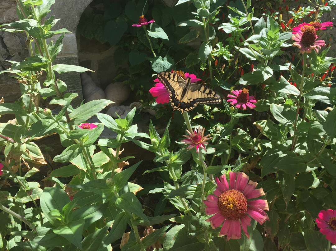 Galaxy Pension主图