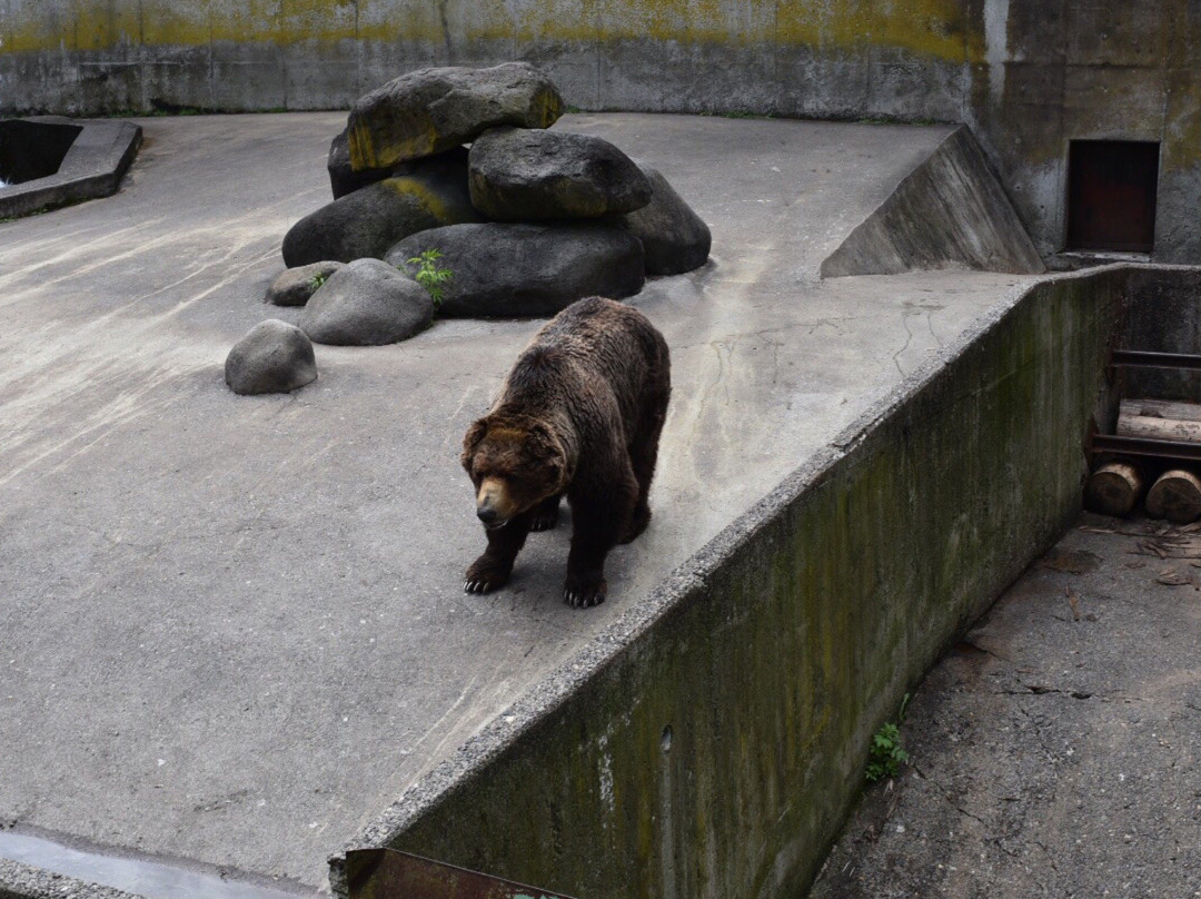 爱别町旅游景点-Kuma Bokujo