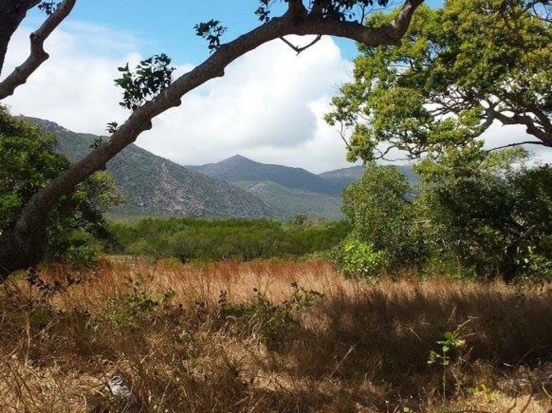 Cape Melville National Park景点图片