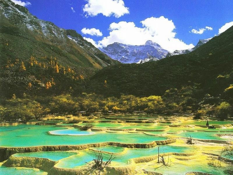 Local Chengdu Tours-成都必去景点