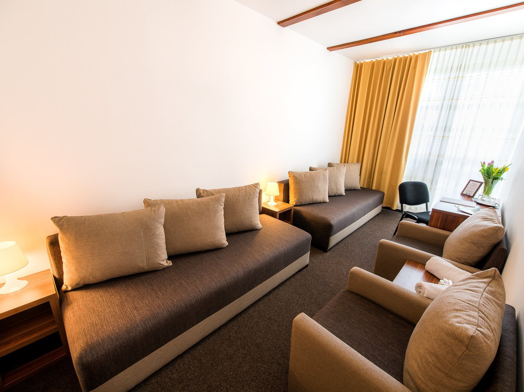 Hotel Merkur主图