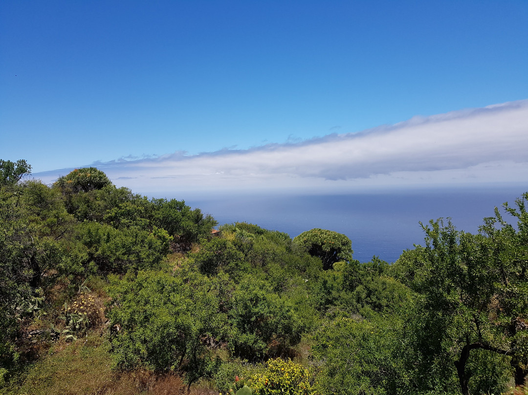 Ruta de los Dragos de Buracas-Las Tricias必去景点