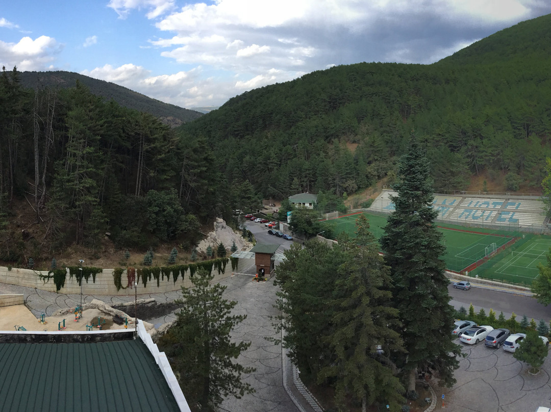 Çam Thermal Resort & Spa Hotel主图