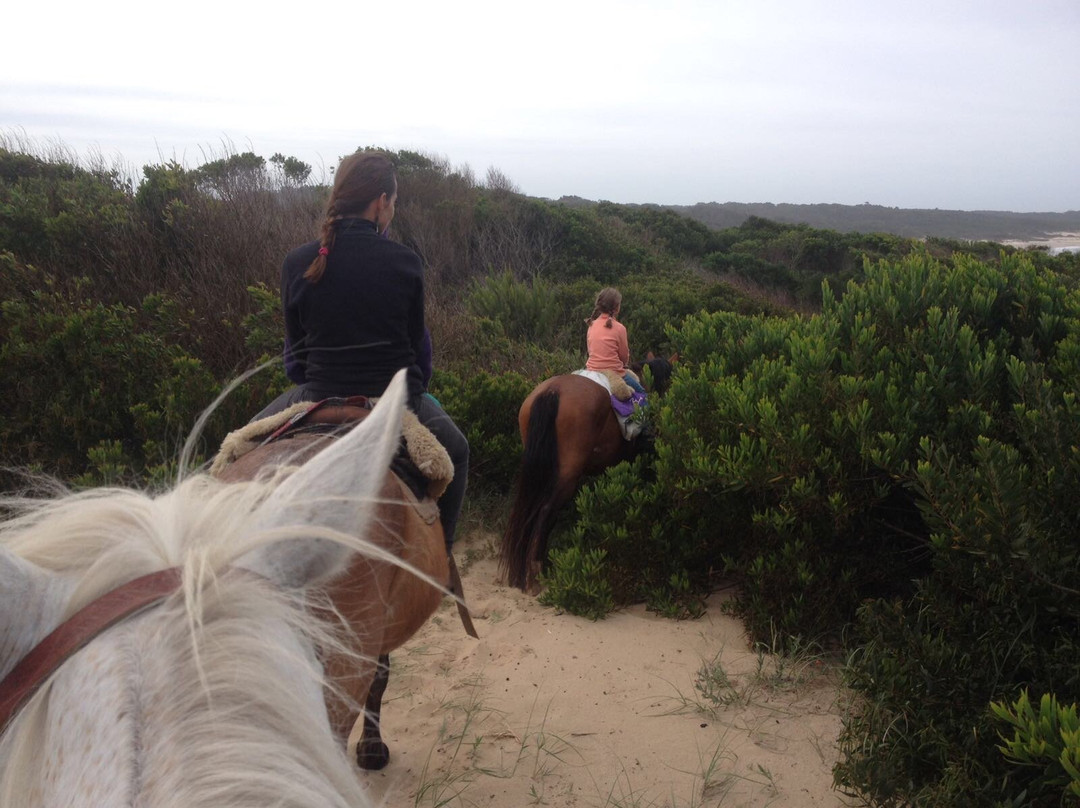 Cabalgatas Punta del Diablo-Punta del Diablo必去景点