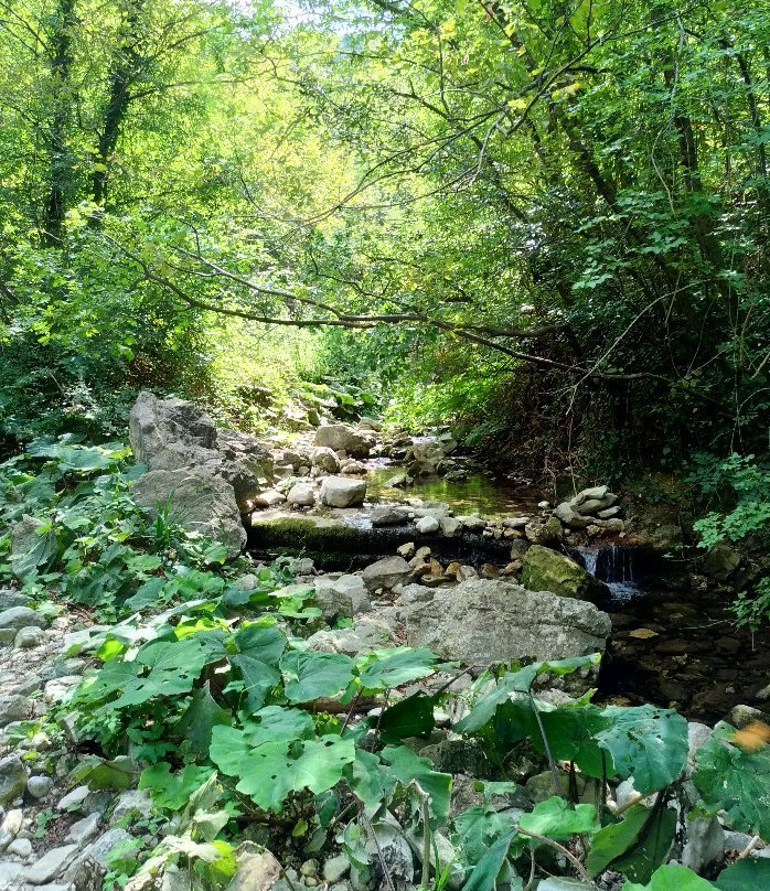 Rio Vitoschio-Apecchio必去景点