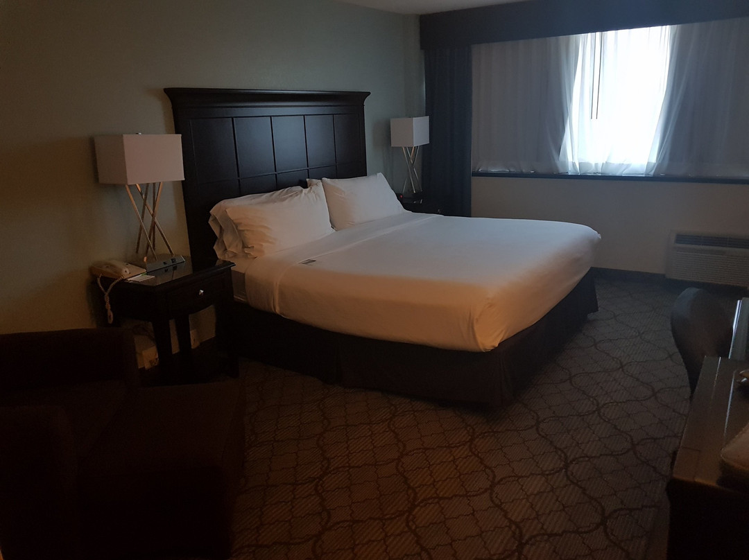 伯明翰机场假日酒店主图